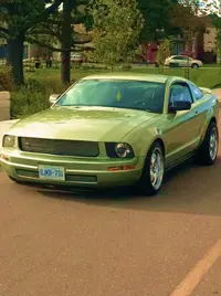 2005 mustang t.webp