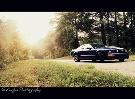 DSC01020edit1.webp