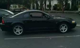 stang.webp