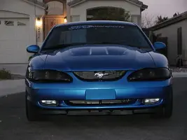 AZstang2.webp