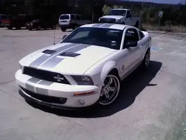 Shelby.webp