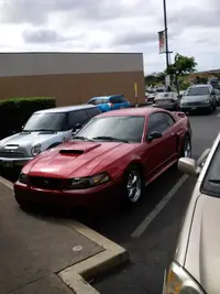 02stanggt1.webp