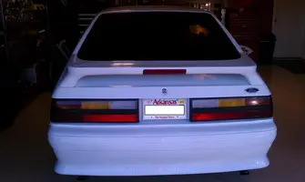 IMAG0229.5.webp