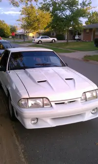 IMAG0244.webp