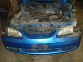 Mustang 1.webp