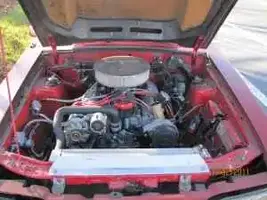 Mustang x 2.webp