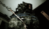 77IMAG0564.gif