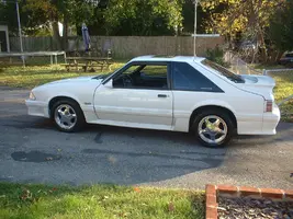 my stang.webp