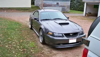 mustang1.webp mustang1.webp