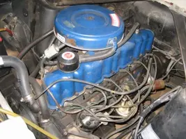 forum1.webp