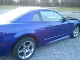 stang3.webp