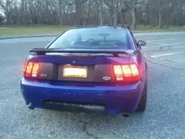 stang1.webp