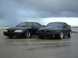 stangs025.webp