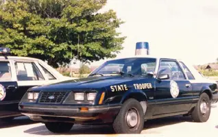 83fhp.webp