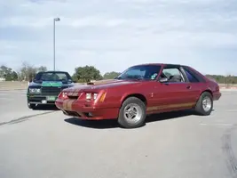 Cobras02.webp