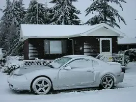 snowcobra.webp