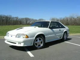 mustang157.webp