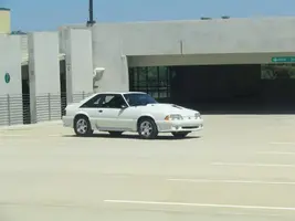 mustang190.webp