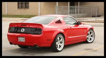 Shelby-Dec-05.webp