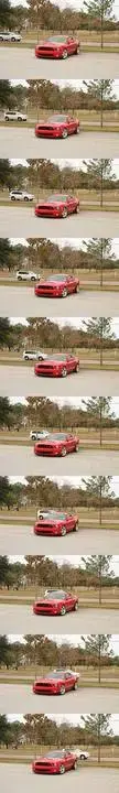 Shelby-Dec-rapidshot.webp