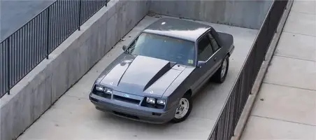 100_2977Medium.webp