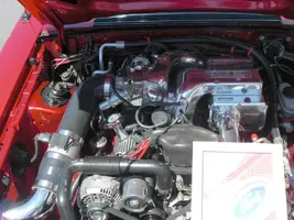 CIMG0710.webp