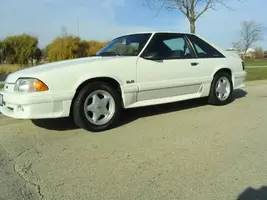 mustang100.webp