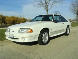 mustang101.webp