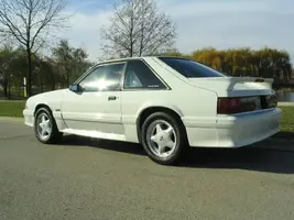 mustang102.webp