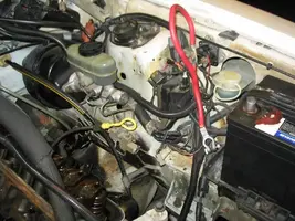 mustang106.webp