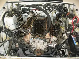 mustang210.webp