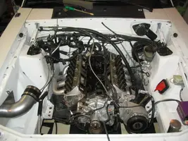 mustang136.webp