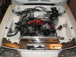 mustang098-1.webp