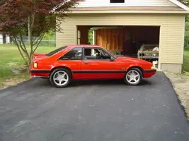 mustangs116.webp
