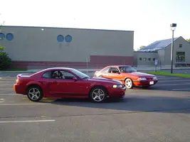 mustang029.webp