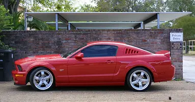 shelby06.webp