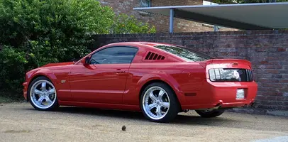 shelby07.webp