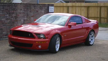 shelby08.webp