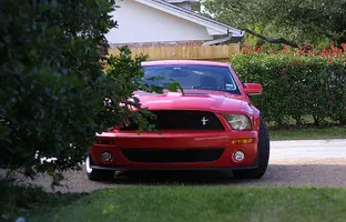 shelby09.webp