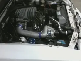 v32.webp