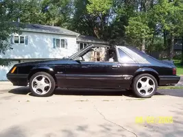 000_0865.webp