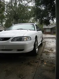 3024479311_aa0bde5c96.webp