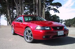 cobra.webp