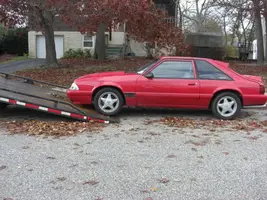 NewStang010.webp