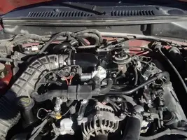car019.webp