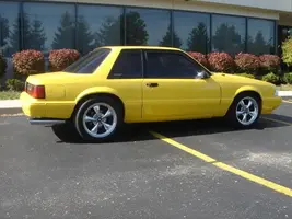 DSC05385.webp