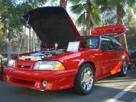pics072.webp