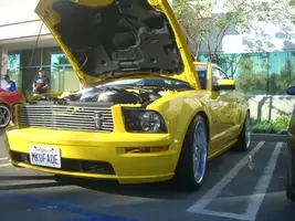 pics090.webp