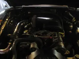 89MustangLXstockexhasut007.webp