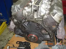 CIMG1231.webp